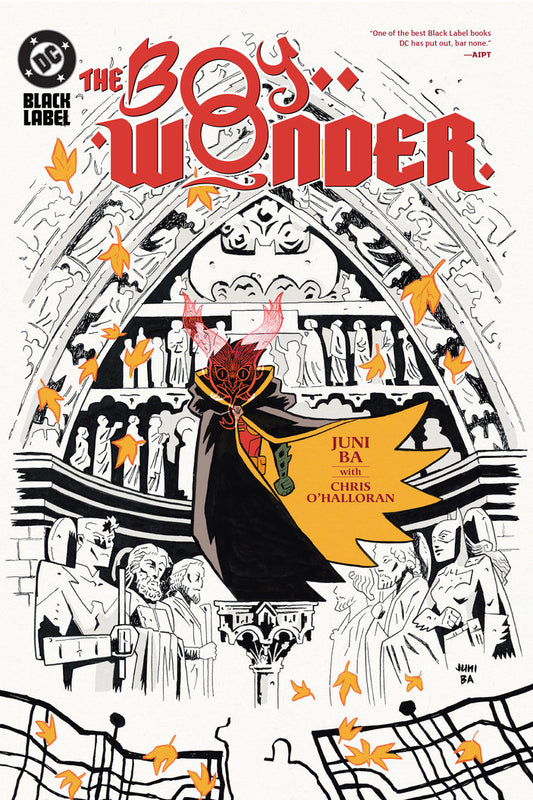 The Boy Wonder Hardcover