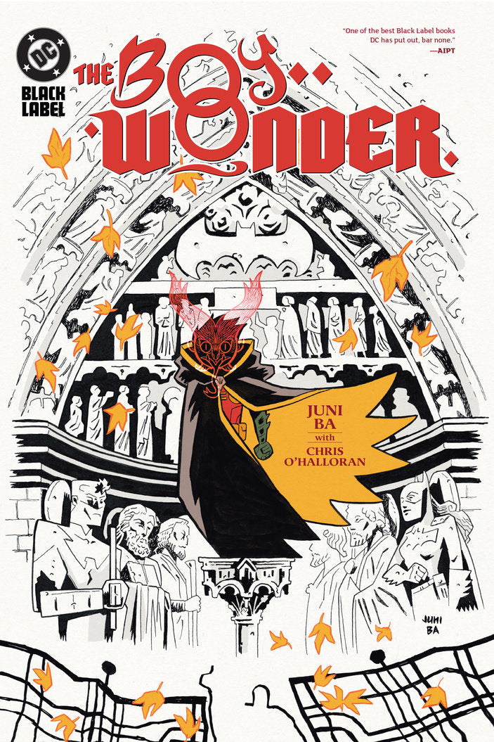 The Boy Wonder Hardcover